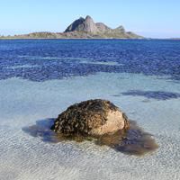 Sorlandshagen 1 Sorlandshagen 1