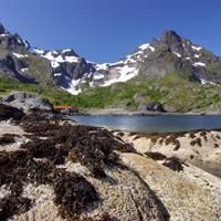 Près de Nusfjord - Lofoten