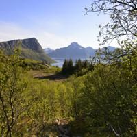 Holandsmellen Lofoten Holandsmellen Lofoten