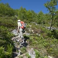 Offersoyakammen3 Offersoyakammen3