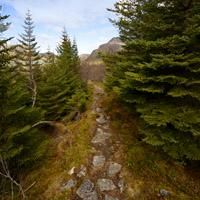 Hike from Napp to Nusfjord in the Lofoten Islands (Norway)